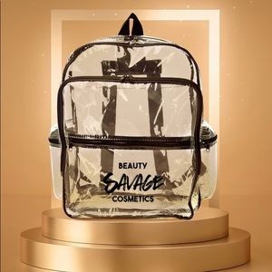 Transparent professional backpack
